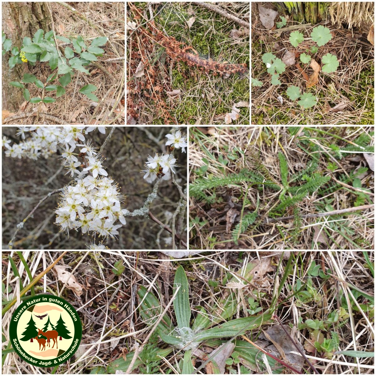 Website Bild Ökologie 1.jpg